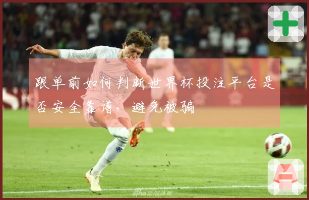 跟单前如何判断世界杯投注平台是否安全靠谱，避免被骗