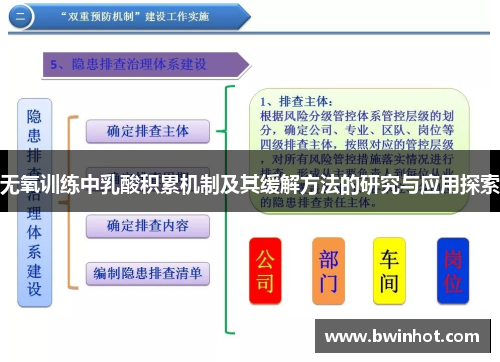 无氧训练中乳酸积累机制及其缓解方法的研究与应用探索