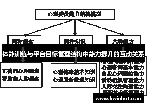 体能训练与平台目标管理结构中能力提升的互动关系