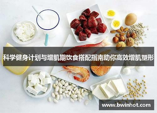 科学健身计划与增肌期饮食搭配指南助你高效增肌塑形